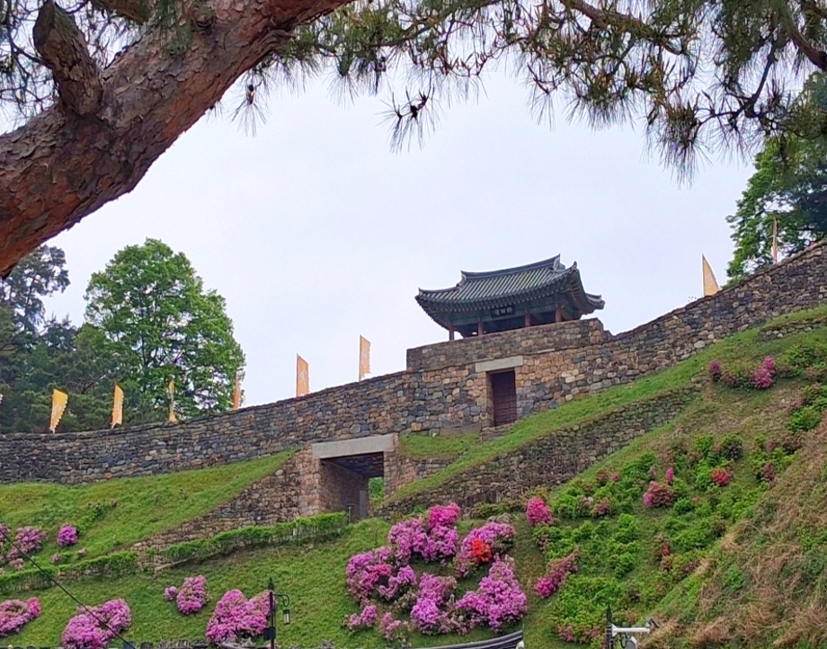 철쭉 핀 공산성.jpg