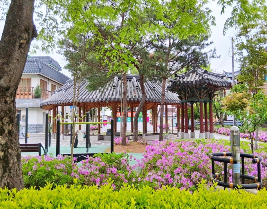 어르신놀이터 철쭉.jpg