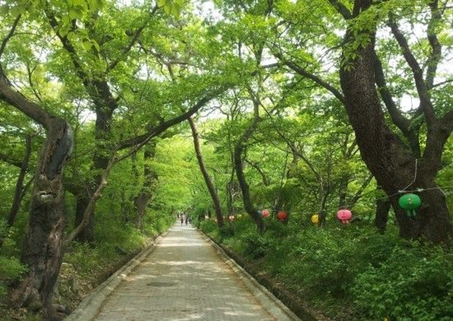 갑사를 거닐면서~.jpg