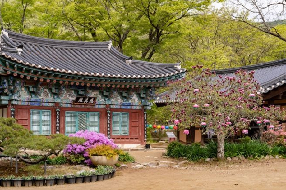 5월사찰 전경.jpg