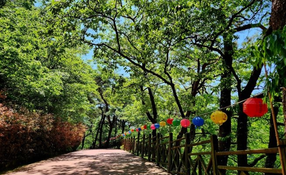 동학사를 거닐며.jpg