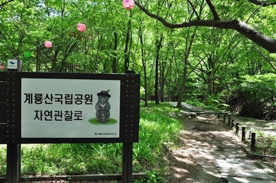 공원관찰로.jpg