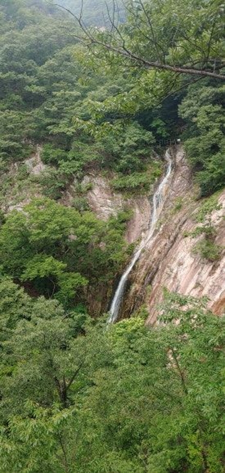 은선폭포주변.jpg